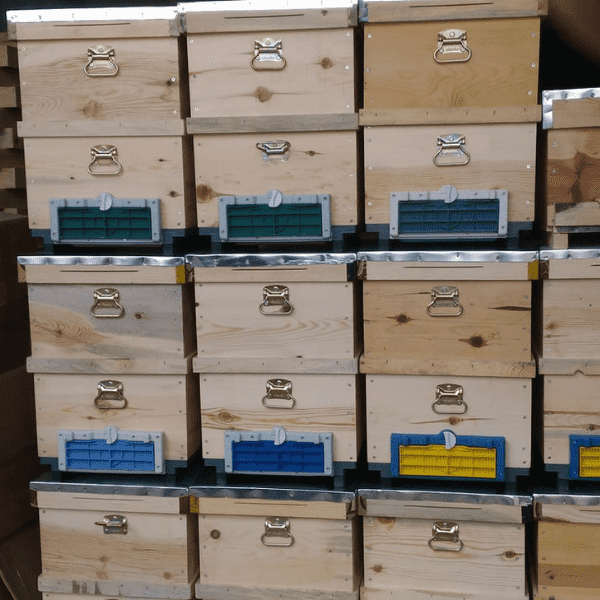 SÖĞÜT arı kovanı - Kovancı Dükkanı arı kovanı imalatı